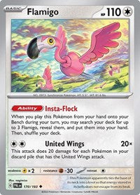 [EN] Flamigo 170/193